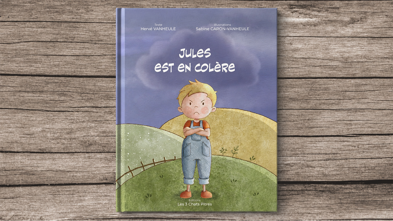 Couverture illustrée – Jules est en colère Couverture illustrée du livre jeunesse “Jules est en colère” représentant un petit garçon en colère dans un univers doux et poétique